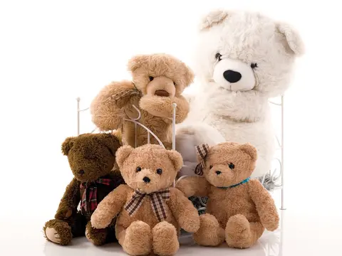 A soft toy to keep